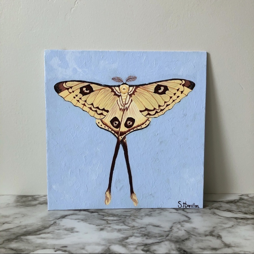 Original Madagascan Moon Moth Painting, Acrylic on Canvas